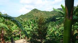 IMG-20190427-WA0012